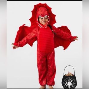 Pottery Barn Dragon Costume